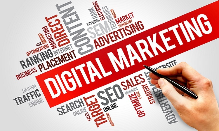 Why Small Business Needs Digital Marketing or SEO